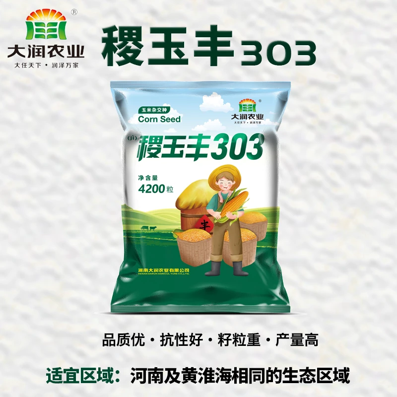 （拍3发4）新审定稷玉丰303优质耐旱高产玉米种
