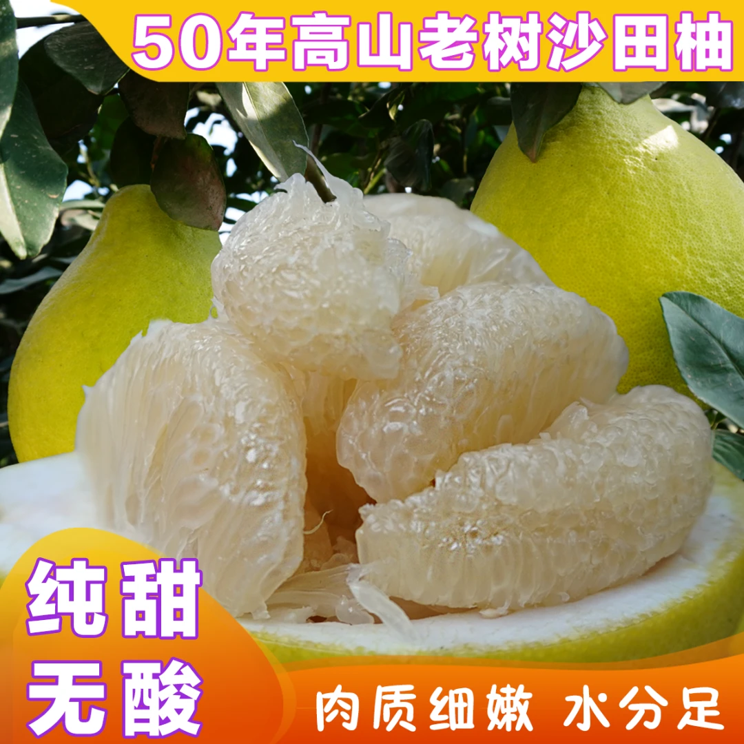 【正宗湖南江永香柚】沙田柚纯甜无酸柚子多汁水果特产5斤