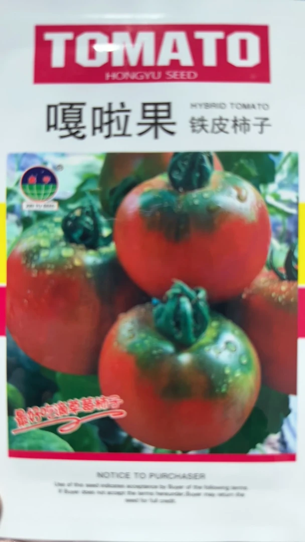 嘎啦果铁皮柿子100粒