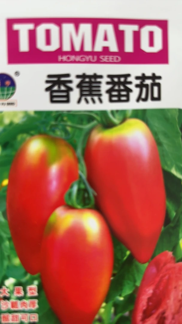 香蕉番茄柿子种子100粒