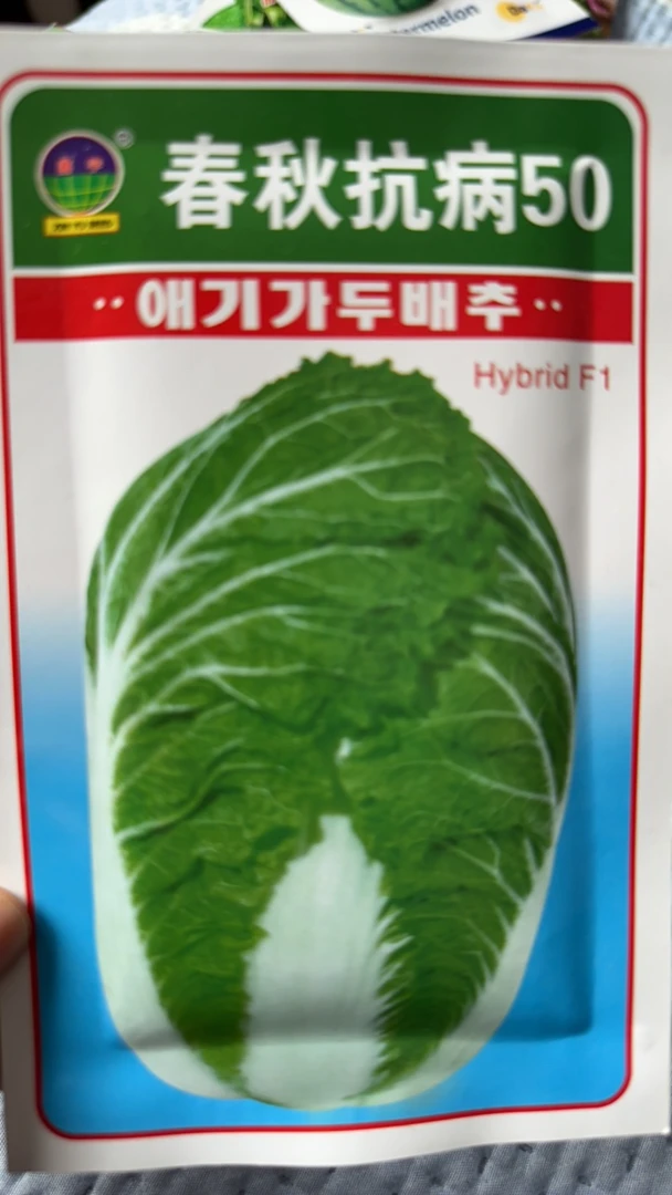 春秋抗病50白菜籽10克