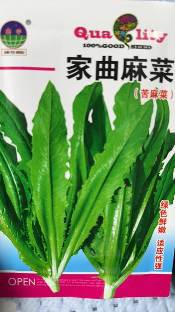 家曲麻菜(苦麻菜)