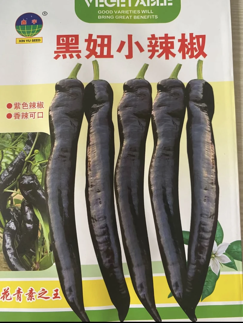 黑妞小辣椒种子200粒