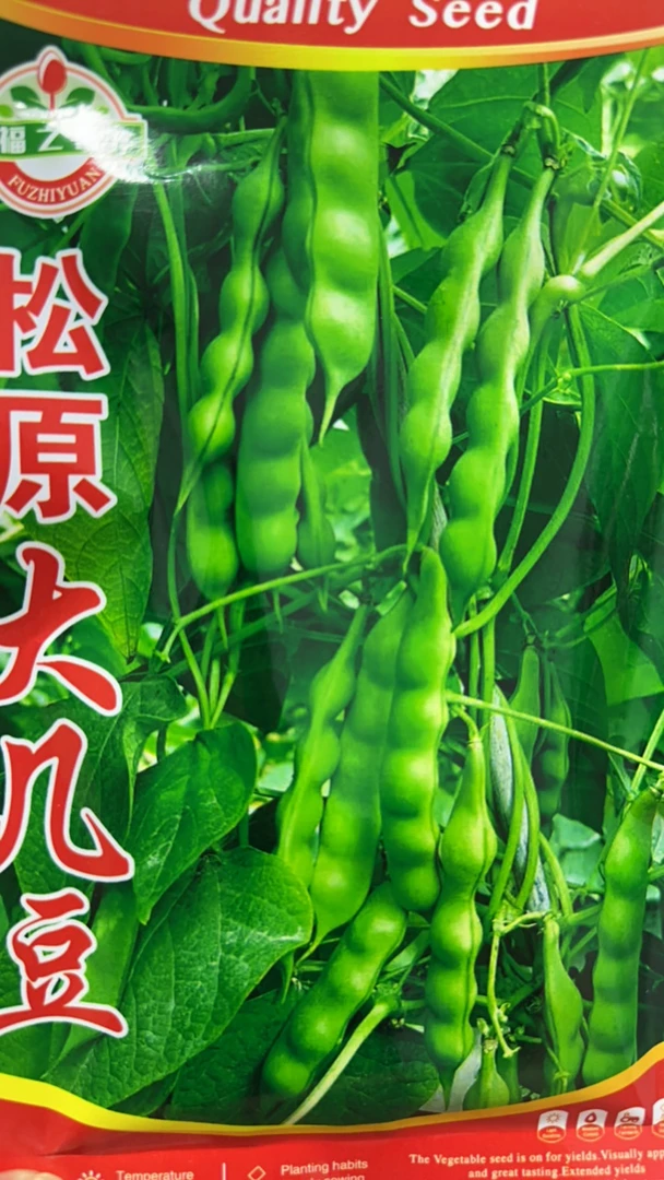 松原大几豆豆角种子