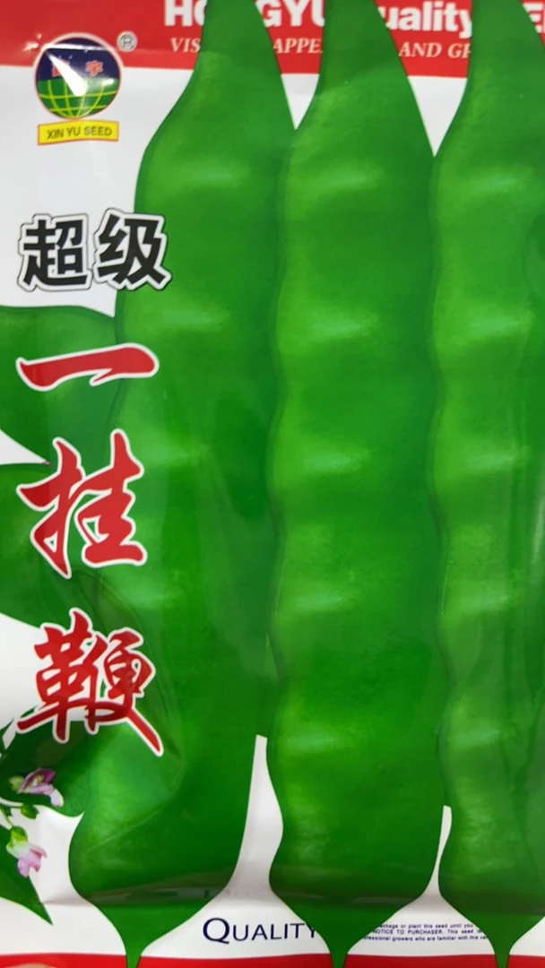 一挂鞭豆角种子油豆角