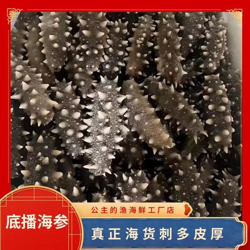 【纯海货】大连长海县岛里底波即食海参
