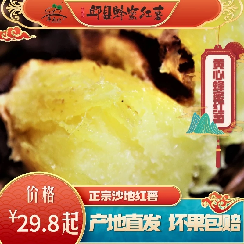 正宗邱县平丘山新鲜采摘沙地黄心蜂蜜红薯地瓜3斤/5斤/8斤装