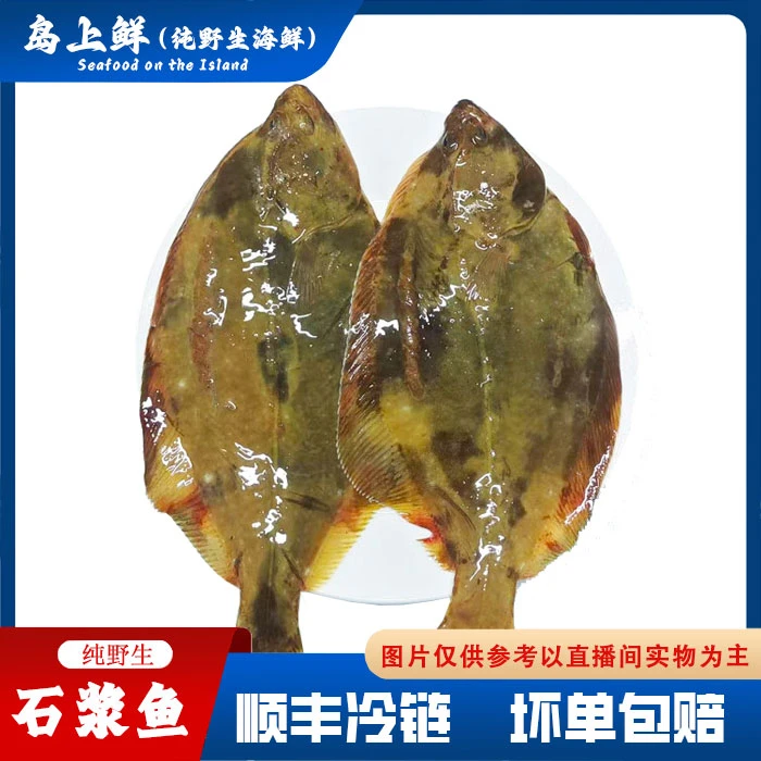 【纯野生-石浆鱼】外省放干冰发货，想好再拍，无质量问题不予退换