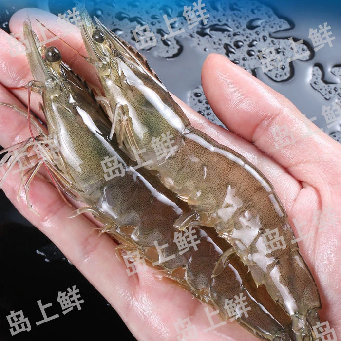 【每份3斤-小+残野生大对虾】冷冻发货/介意慎拍/顺丰包邮