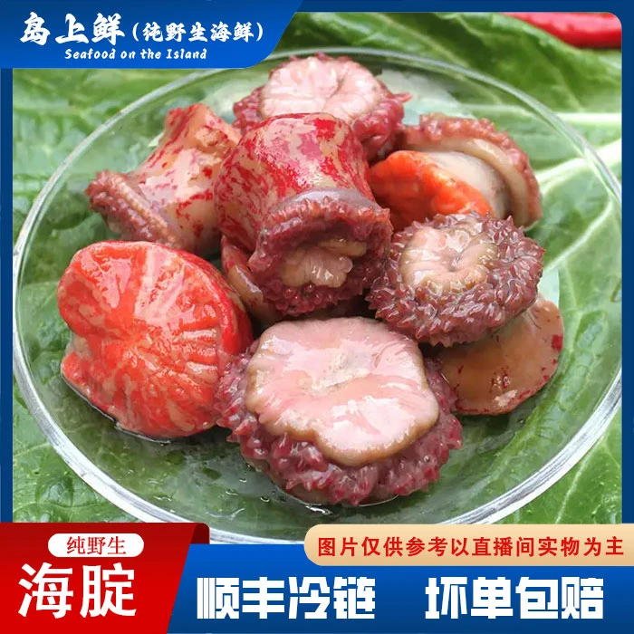 【纯野生--红海腚】又名海葵有大有小，冷冻发货。介意勿生鲜拍，