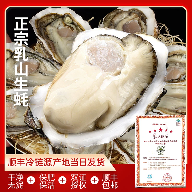 5斤送半斤2-3两正宗鲜活乳山生蚝海鲜源产地现捞牡蛎清蒸海蛎子