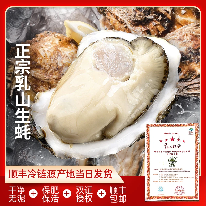 4-6两正宗鲜活乳山生蚝海鲜源产地现捞牡蛎清蒸海蛎子