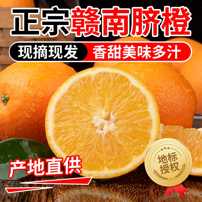江西赣南脐橙9斤 精品大果 新鲜现摘当季整箱 赣州寻乌手剥甜橙子