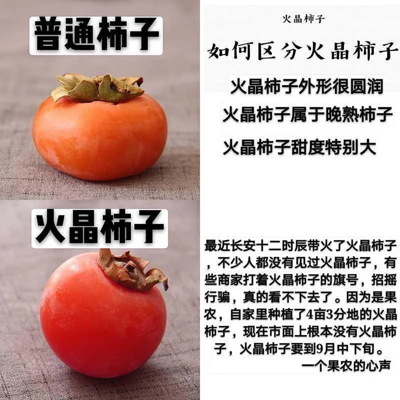 放软吃【流心火晶蜜柿】软柿子新鲜水果软甜金钱蜜柿红批发火晶整箱