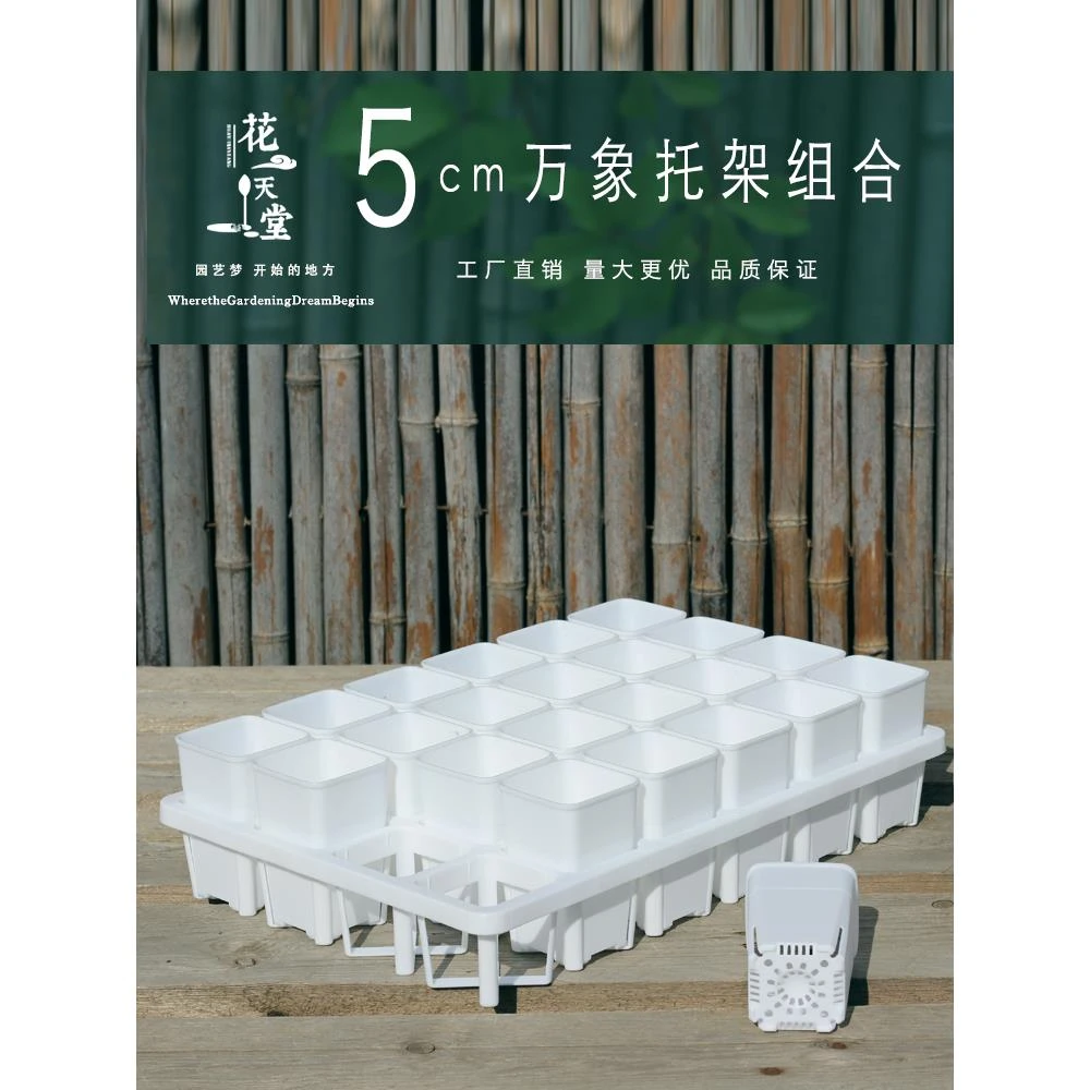 迷你5cm侧开口控根方万象24格托架组合肉锥玉露万象高腰塑料花盆