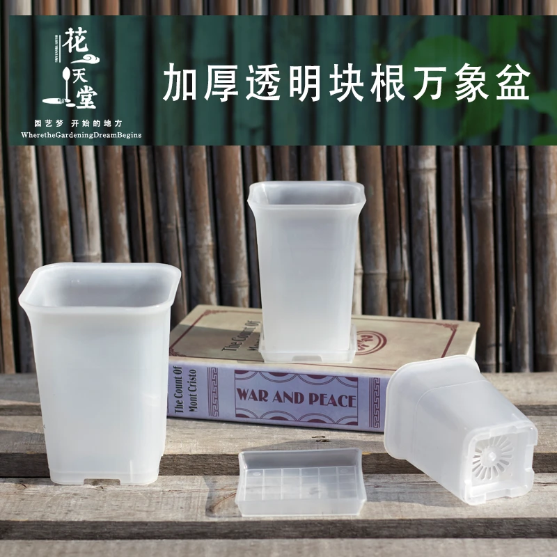 透明加厚塑料多肉花盆块根龙舌兰仙人球酢浆草万象大口径高透气盆
