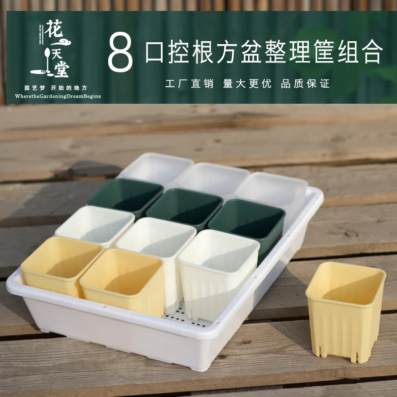 多肉花盆塑料加厚8口控根矮方整理育苗框组合播种植套装大棚家用