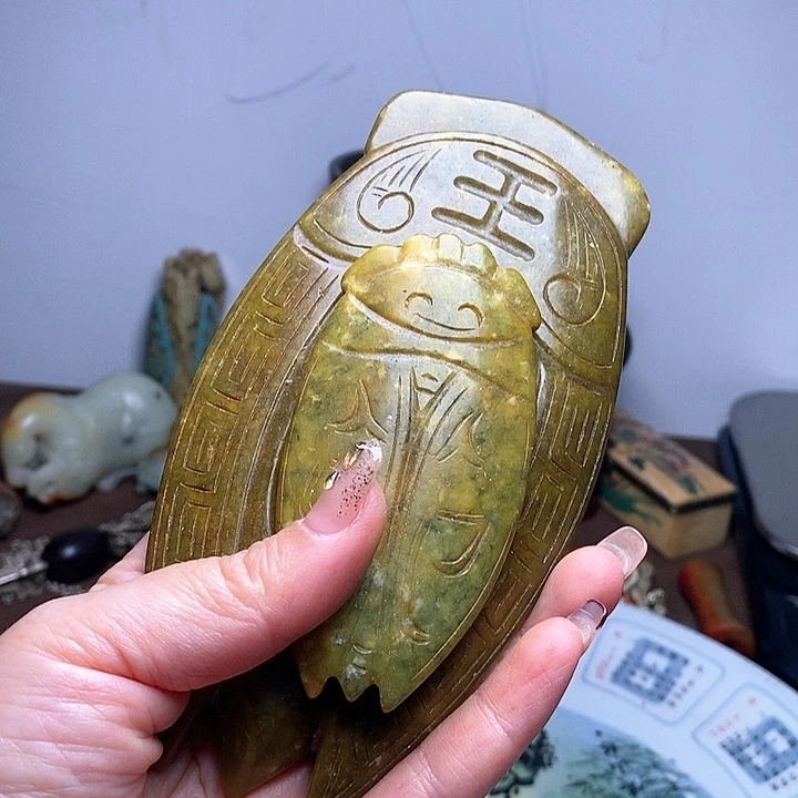 今天人好多哦。放漏了