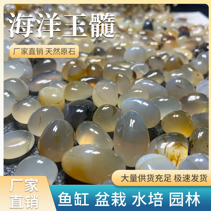 天然海洋鹅卵石养鱼缸底砂石装饰园艺多肉花盆景铺面石子