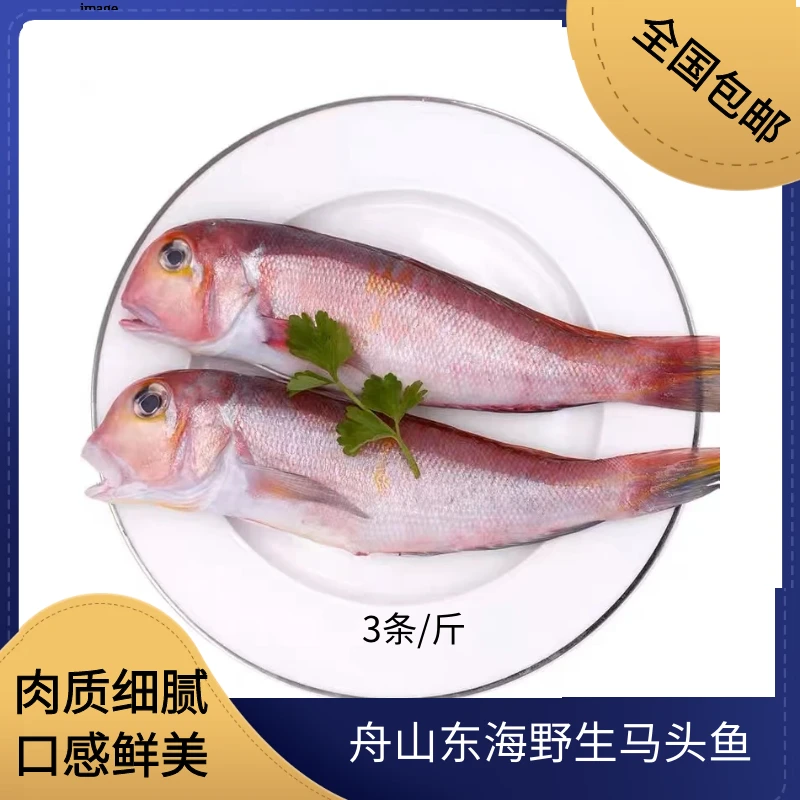 【3条/斤，12斤】舟山东海野生马头鱼码头直发
