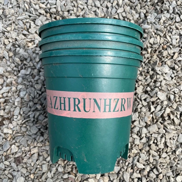 丽格海棠专用加仑盆130盆