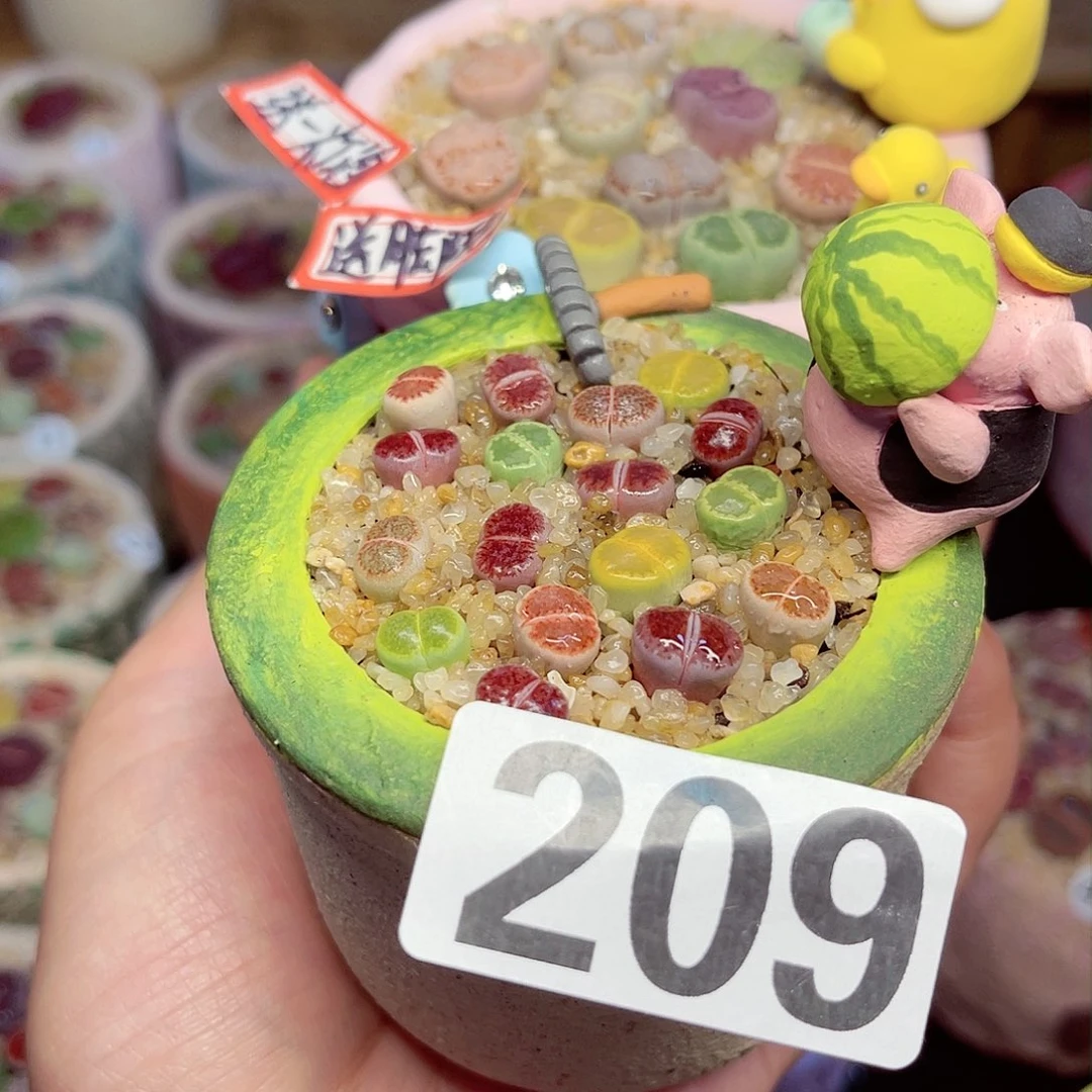 ?****头209.      8888888888