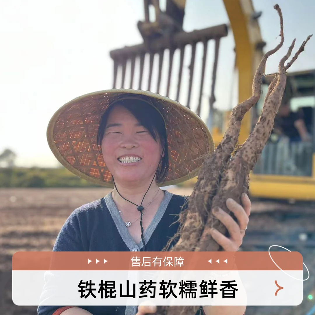 河南温县铁棍山药正宗怀山药现挖淮山药新鲜蔬菜焦作铁锈红斑软糯