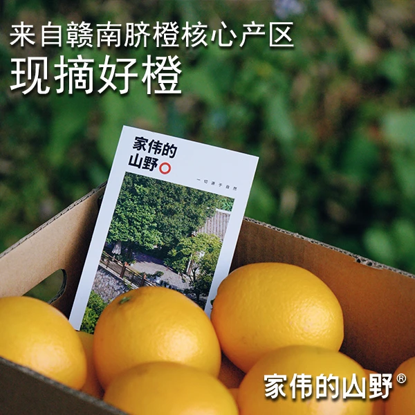 家伟的山野 赣南脐橙 带箱约5斤装（4.6~5斤） 小果60～65mm
