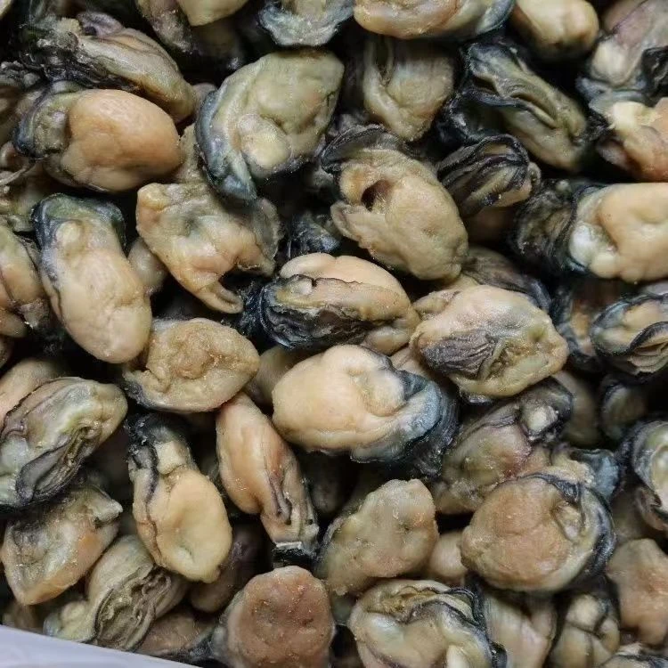 生蚝干海蛎子干牡蛎干淡干海产干货现货甄选海鲜干货火锅食材