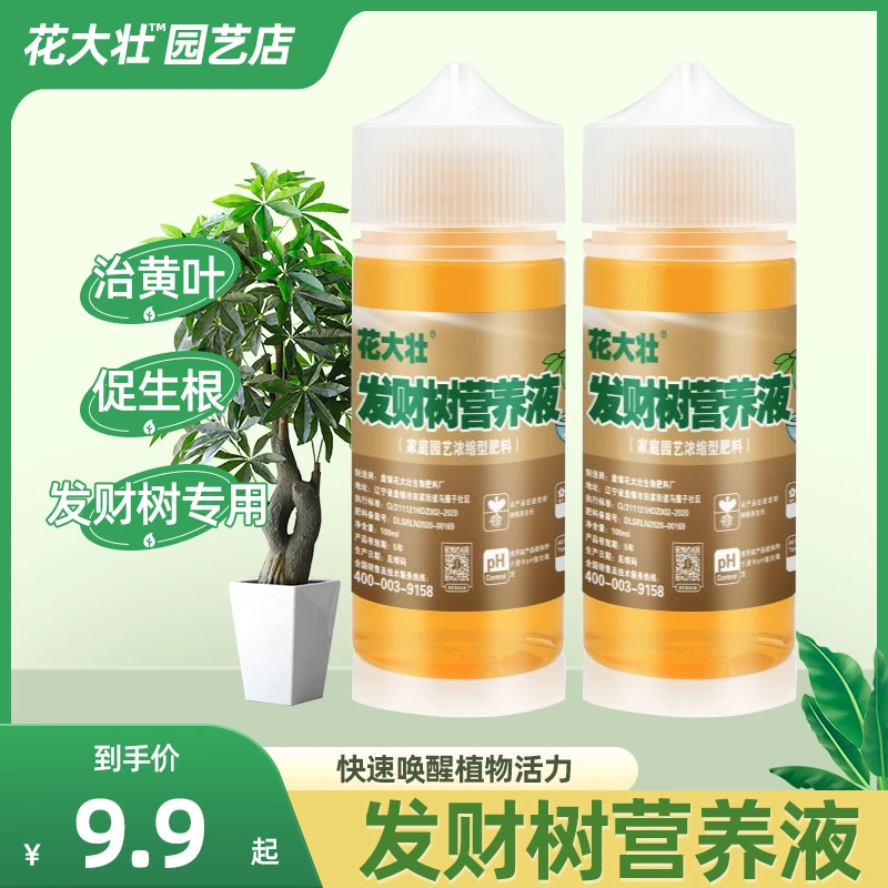 【拍二发三】发财树营养液肥料专用肥治黄叶掉叶烂根促发芽