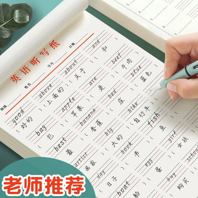B5英语作业听写纸加厚英汉互译纸默写学生用可撕英文练习稿纸短语