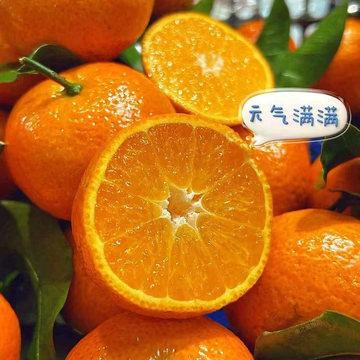 【砂糖橘】新鲜水果/应季水果