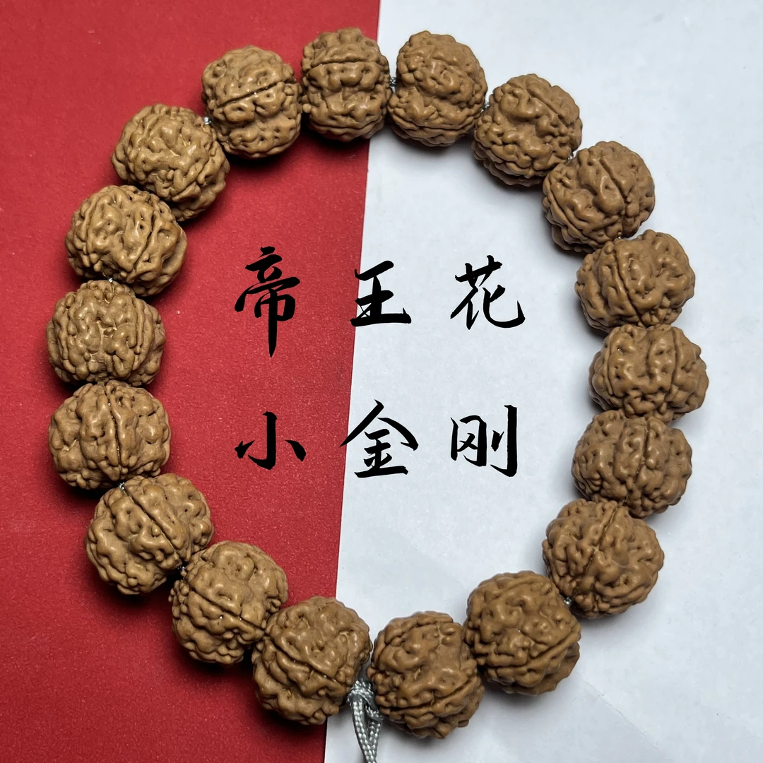 帝王花小金刚菩提手串手持梅花双龙精挑精配老树籽精品文玩送工具