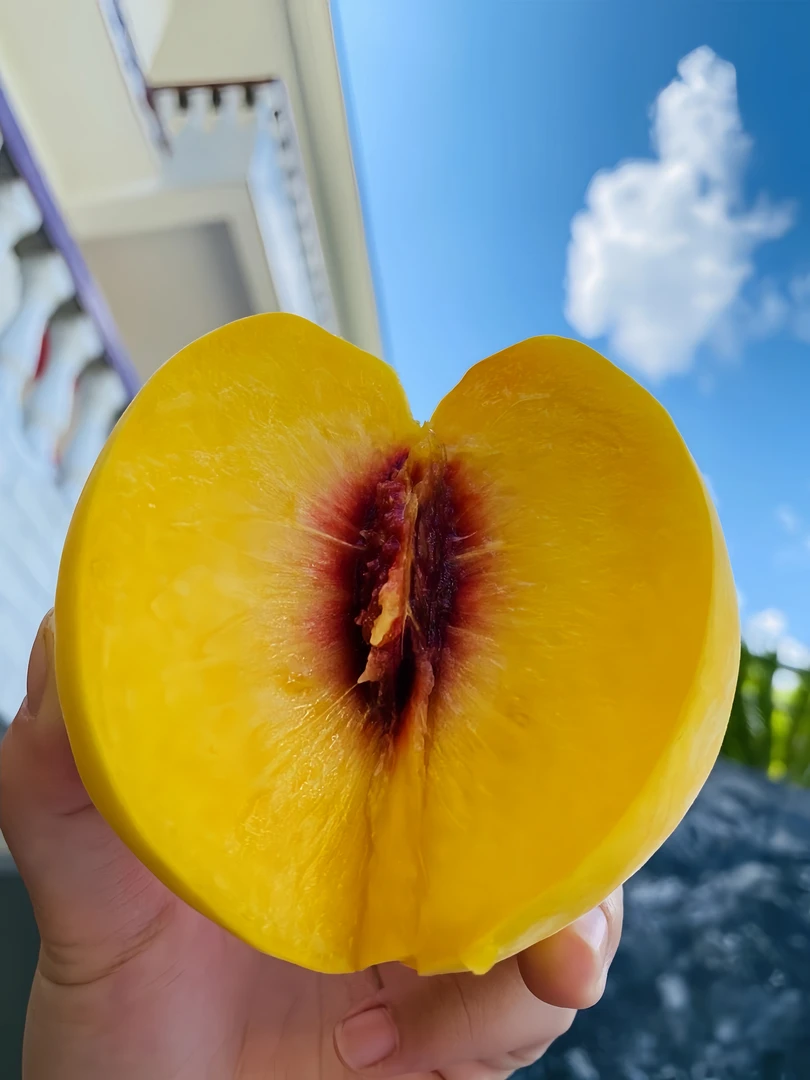 炎陵高山黄桃 香脆甜 优质中大果