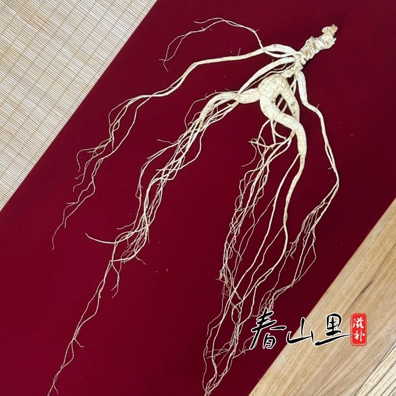 长白山人参林下山参80版国检一等野山参礼盒一参一证