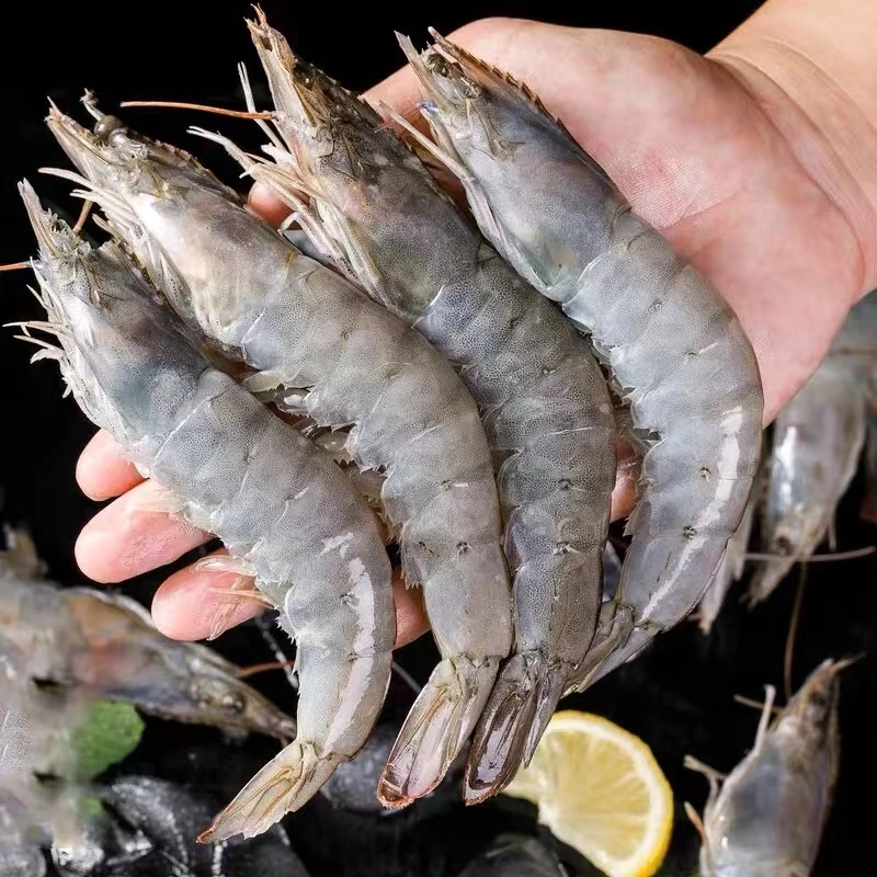 A. 3040海洋大虾一斤15-20只 一盒45-60只净含量1500克