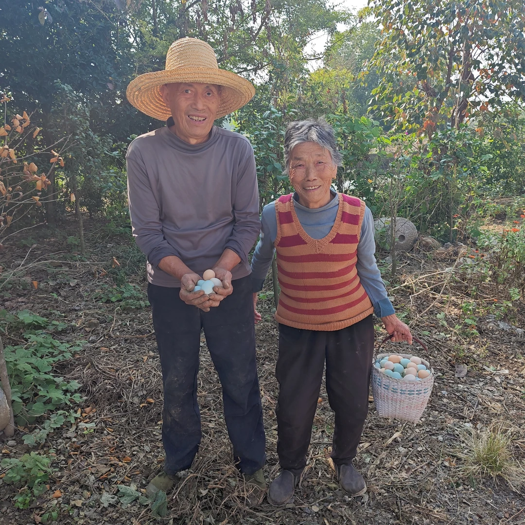 60枚仙山散养土鸡蛋（粉绿随机)  当日（集卡送礼品）
