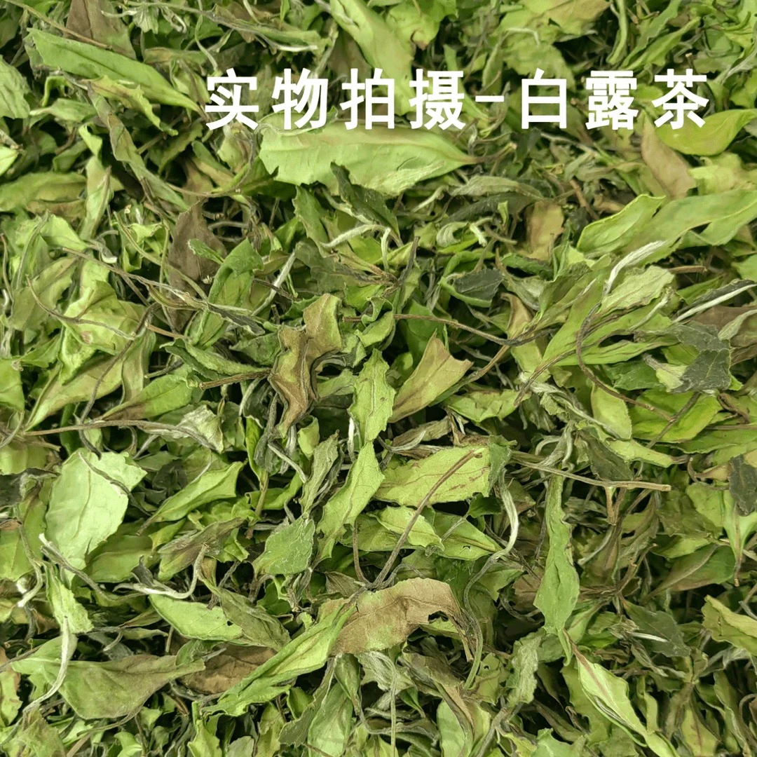 云南高山乌龙白茶《乌龙白茶》