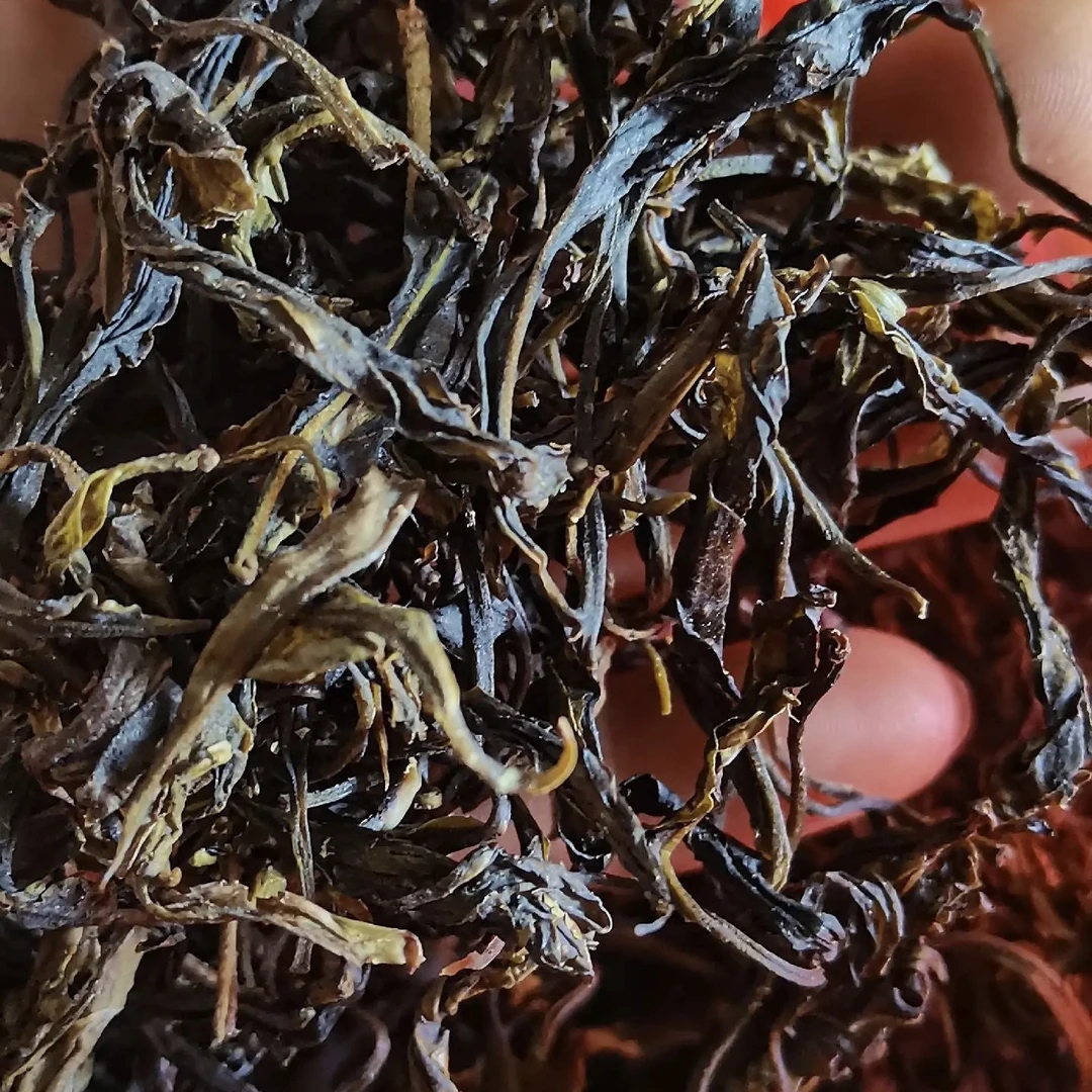 大雪山古树野茶《野生生茶》