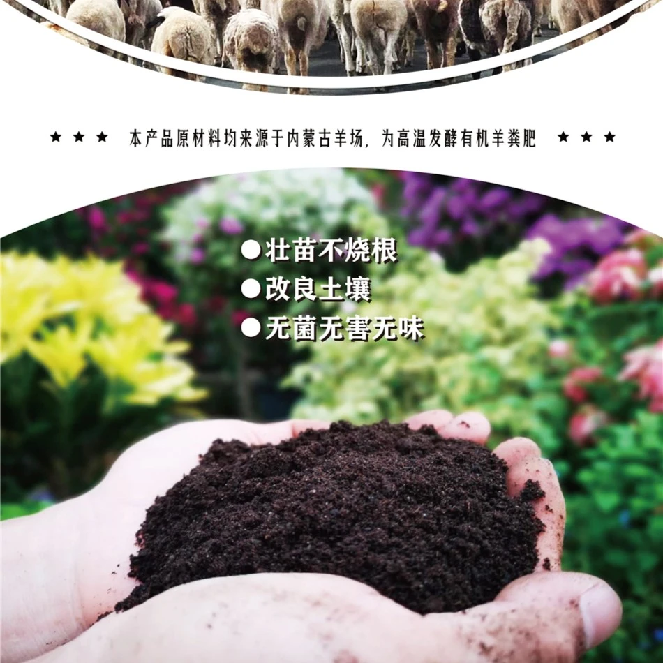 内蒙古发酵种菜专用羊粪肥养根不烧苗【5.5斤体验装】