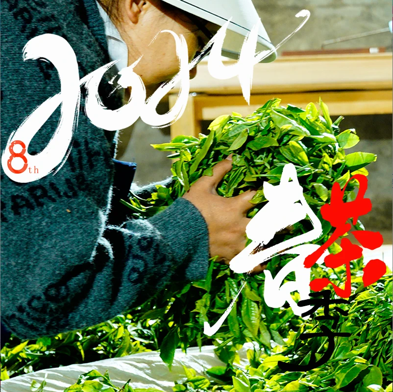 2024年耿家寨基地体验装20克头春普洱茶生茶