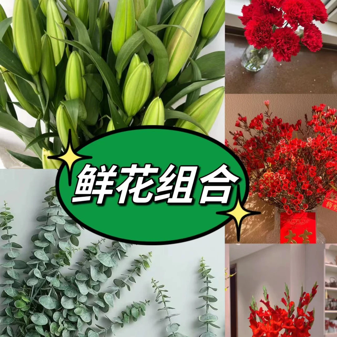鲜花套餐 百合 剑兰 腊梅 康乃馨 配草