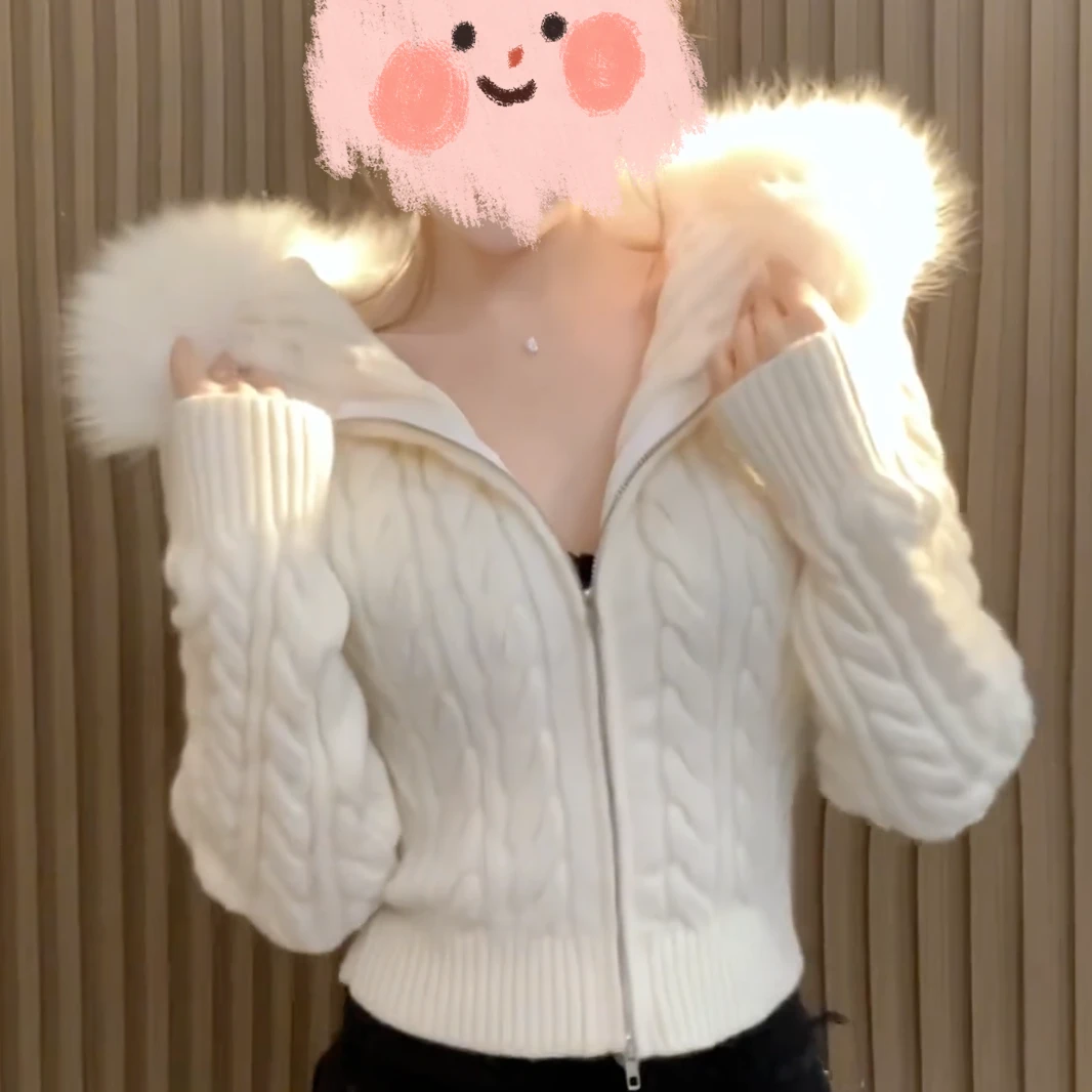 2024冬季新款连帽开衫拉链毛衣女修身显瘦短款针织衫