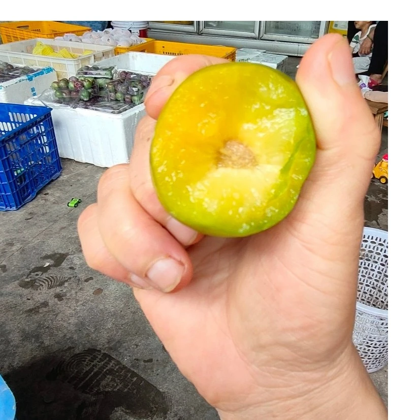 蜂糖李甜新鲜现摘当季应季水果脆甜多汁果园正宗