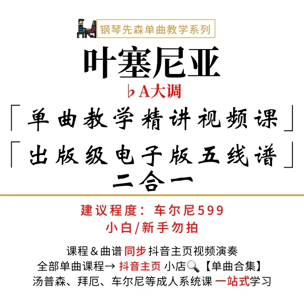 《叶塞尼亚》钢琴单曲教学(新手勿拍/无简谱)