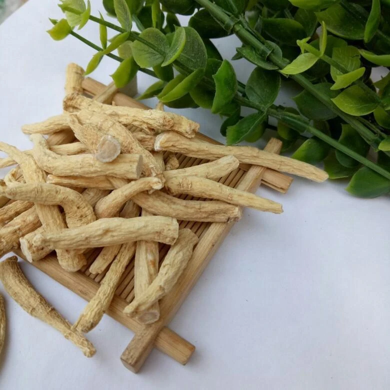 吉林长白山 西洋参丁