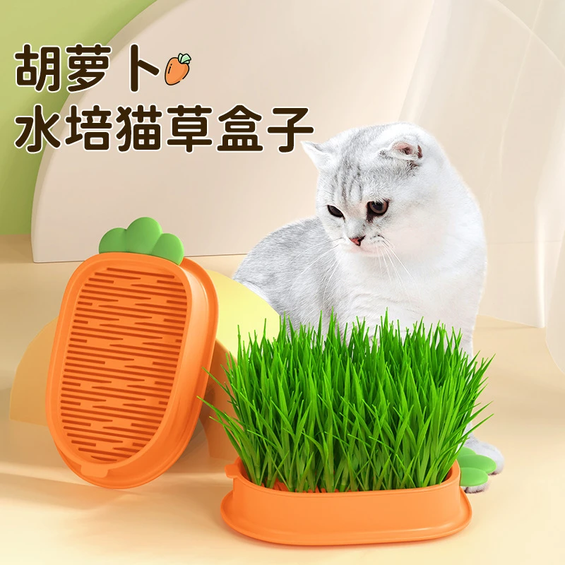 生骨肉工厂新款胡萝卜猫草盒小麦猫咪零食新鲜牙齿清洁天然有机