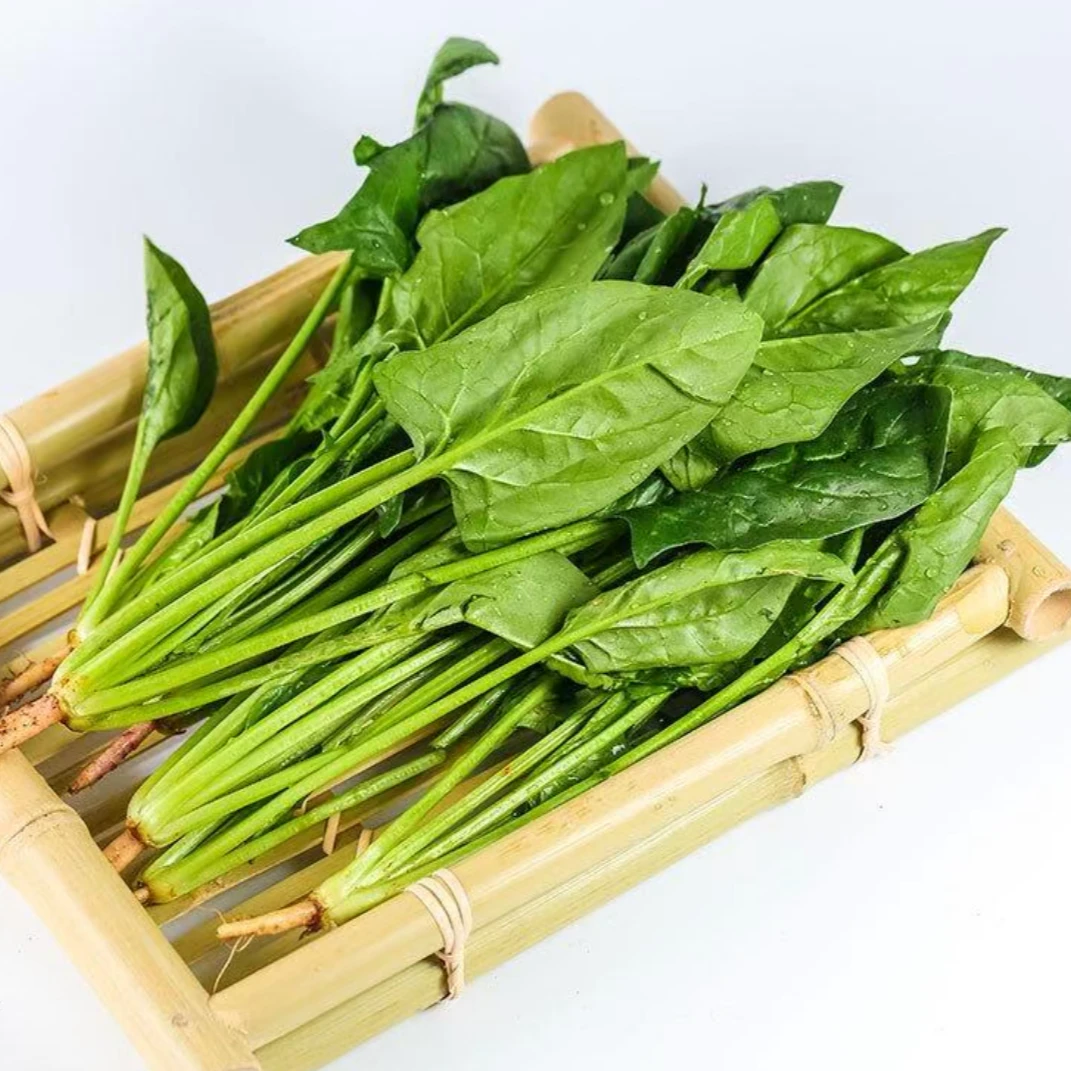 菠菜/份400g±5g
