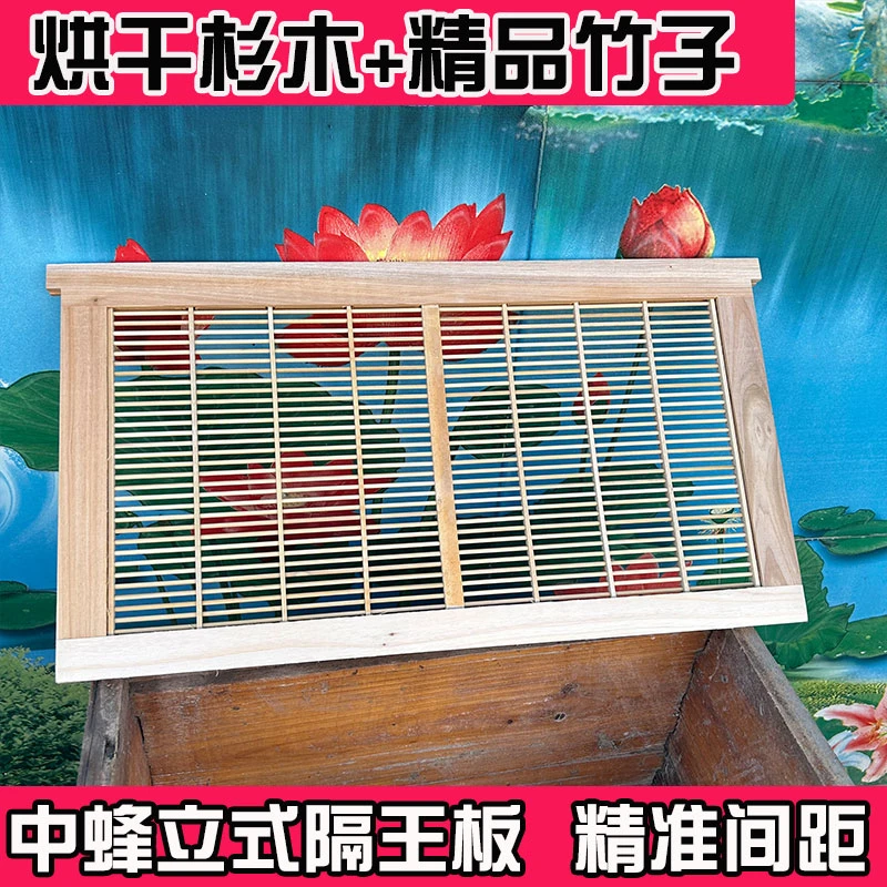 中蜂立式隔王板隔蜂王栅蜜蜂蜂王防逃栅竹子杉木卧式隔王板防跑片