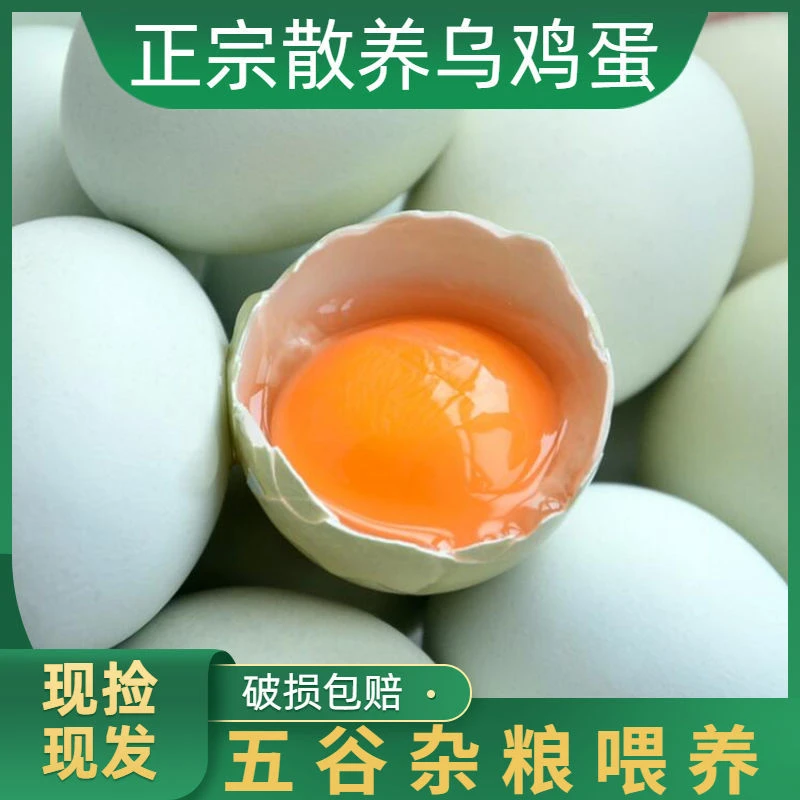 敞鲜 绿壳乌鸡蛋20/30/40枚农家散养新鲜笨鸡蛋 40g/枚